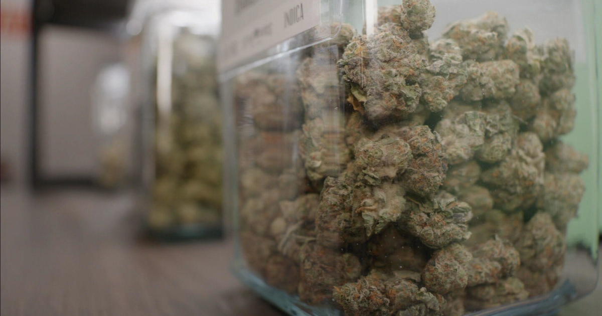 Amendment 3’s rejection raises questions about future of Florida’s medical marijuana industry