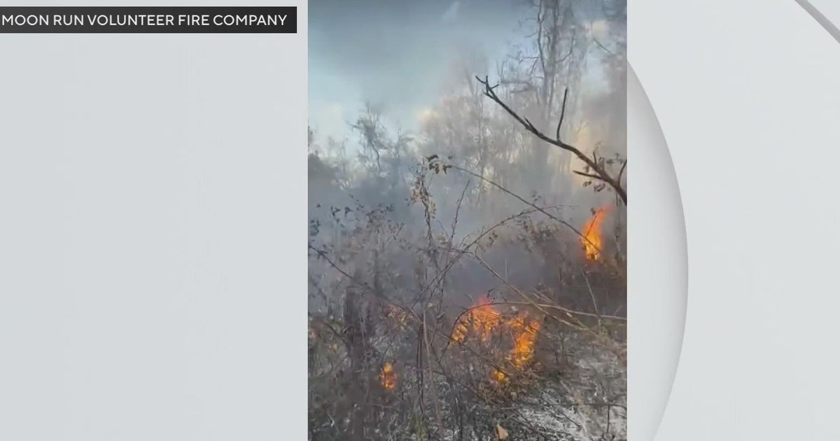 In Pennsylvania, dangerously dry conditions raise brush fire risk - CBS ...