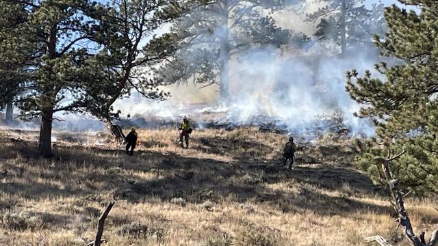 rmnp-prescribed-burn.jpg 