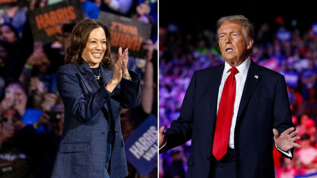 Photos of Vice President Kamala Harris and former President Donald Trump at campaign rallies 