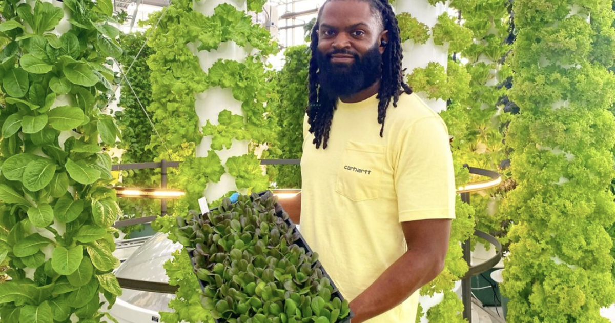 How a U.S. Army veteran went from battlefields to mushroom farming