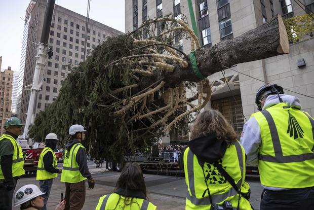 Rockefeller-Center-Christmas-Tree 