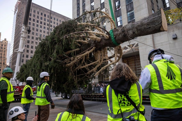 Rockefeller-Center-Christmas-Tree