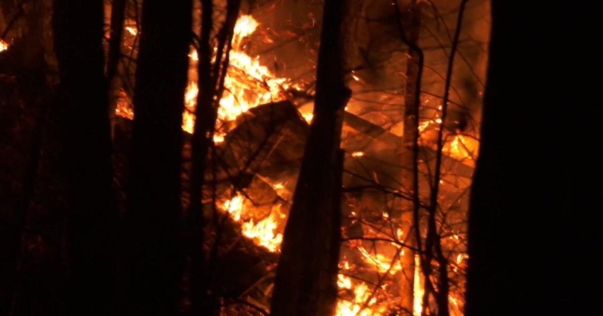 New York forest ranger dies battling wildfire near Greenwood Lake