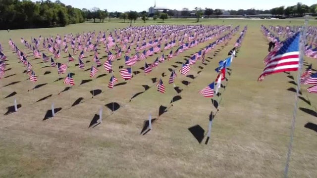 Plano flags veterans day 