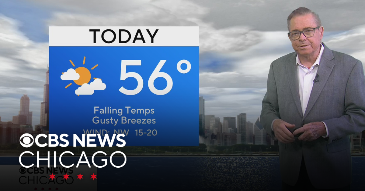 Highs in the 50s in Chicago on Veterans Day - CBS Chicago