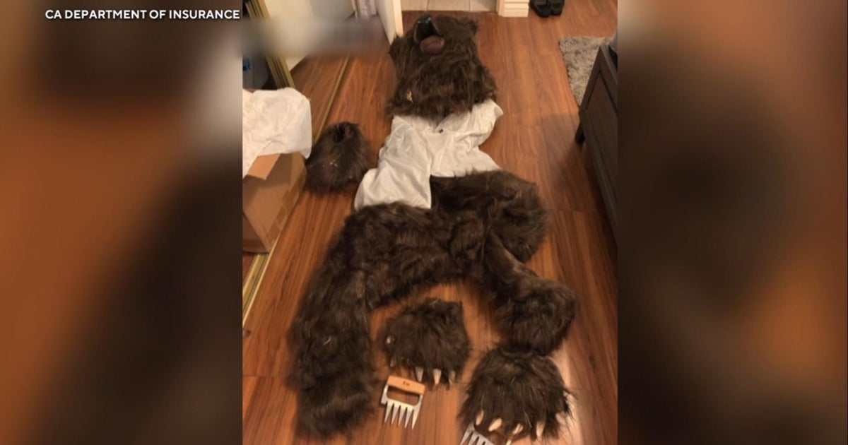 4 Arrested For Faking Bear Attacks For Insurance Payouts Cbs News