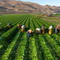 New book from famed photographer focuses on the forces behind the global food chain