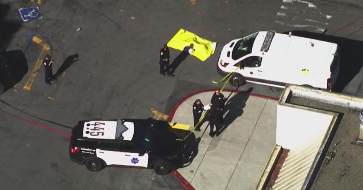 San Francisco police shoot 2 dogs after attack in Safeway parking lot