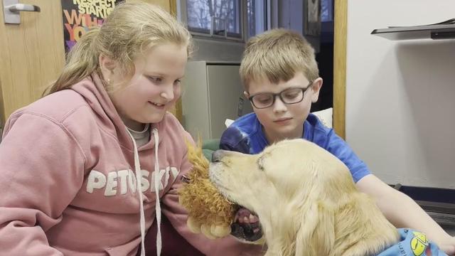 redford-union-schools-therapy-dog.jpg 