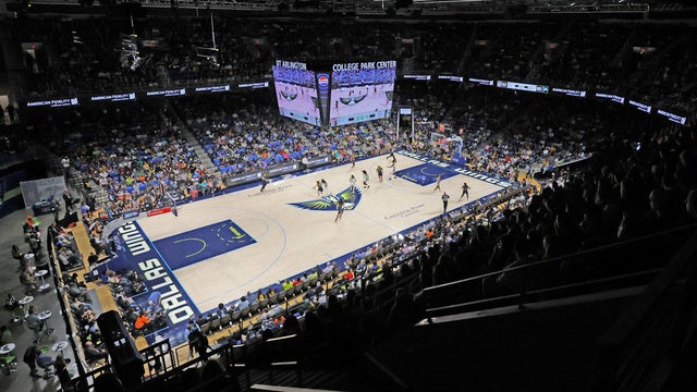 Fever Wings Basketball