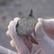 Ancient amulet showing biblical king spearing devil is unearthed