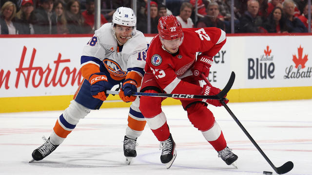 Lucas Raymond #23 of the Detroit Red Wings tries to get around the stick of Pierre Engvall #18 of the New York Islanders during the second period at Little Caesars Arena on November 21, 2024 in Detroit, Michigan. 