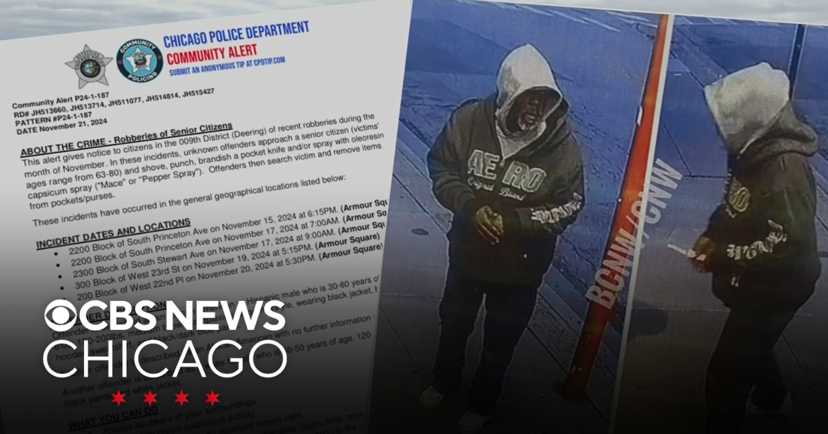 Senior citizens targeted in South Side armed robberies, police say ...