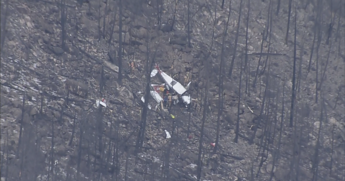 2 killed in U.S. Civil Air Patrol plane crash in Northern Colorado