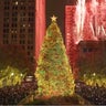 Chicago is looking for its 2025 Christmas tree 