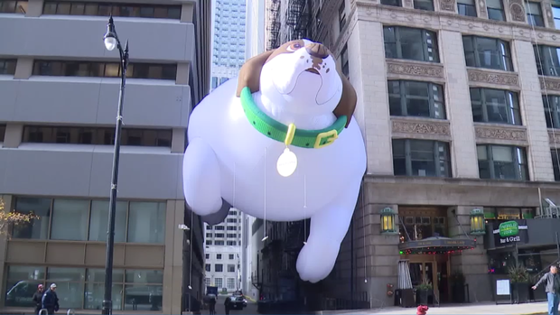 obese-dog-balloon.png 