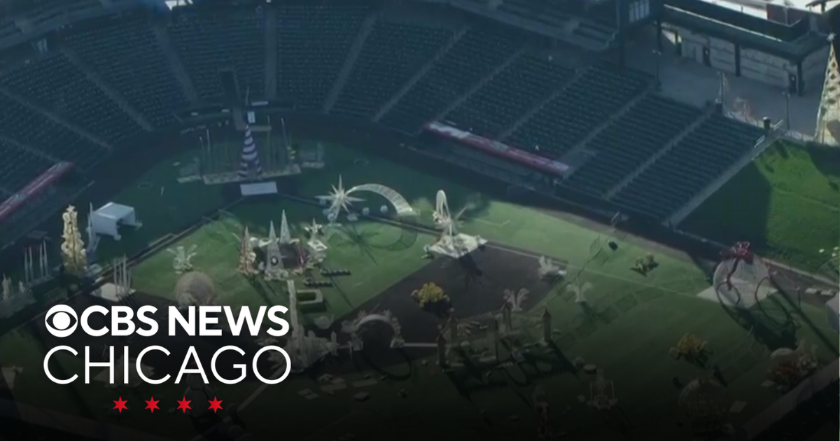 Joliet,  Illinois man accused of stealing ,000 worth of reindeer decorations Joliet,  Illinois man accused of stealing ,000 worth of reindeer decorations