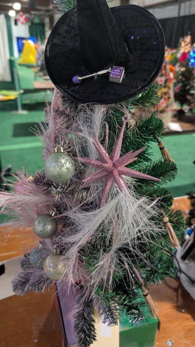 A "Wicked" themed tree designed by WJZ's Denise Koch and Nicky Zizaza. 