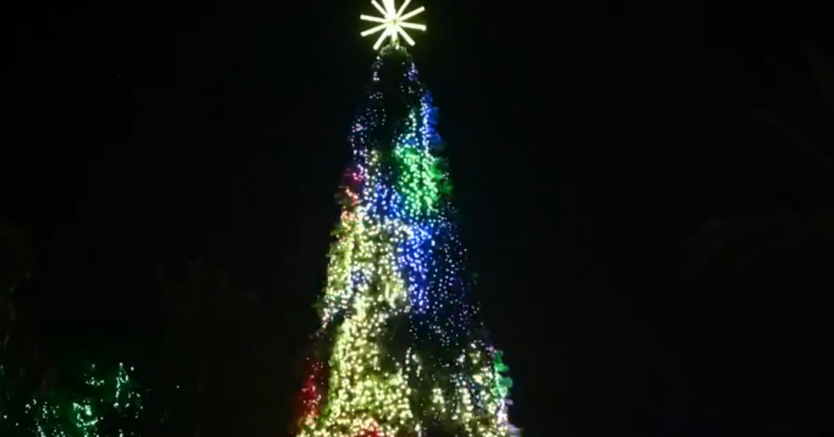 Miami Zoo Lights to shine tonight through Dec. 30 Miami Zoo Lights to shine tonight through Dec. 30