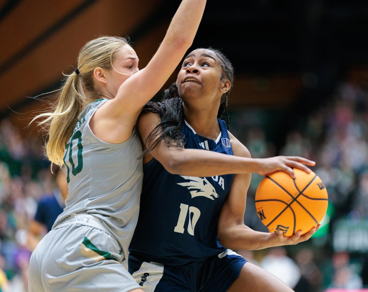 Ronsiek sisters unite on Colorado State Rams women's basketball team ...