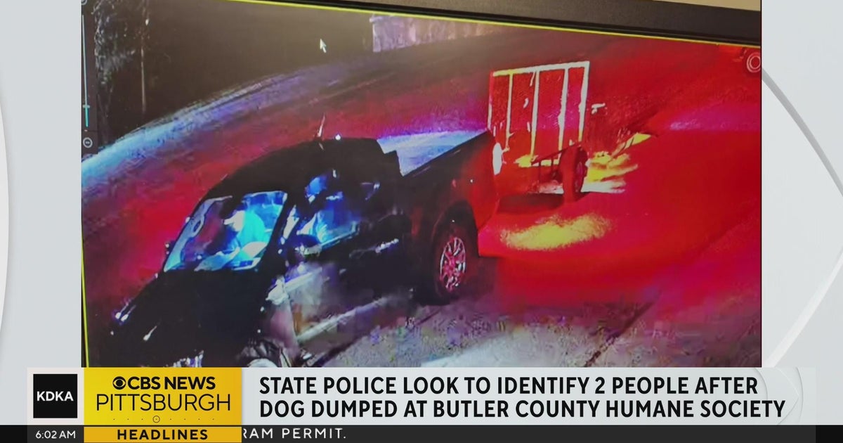 State police working to identify suspect in abandoned dog case - CBS ...