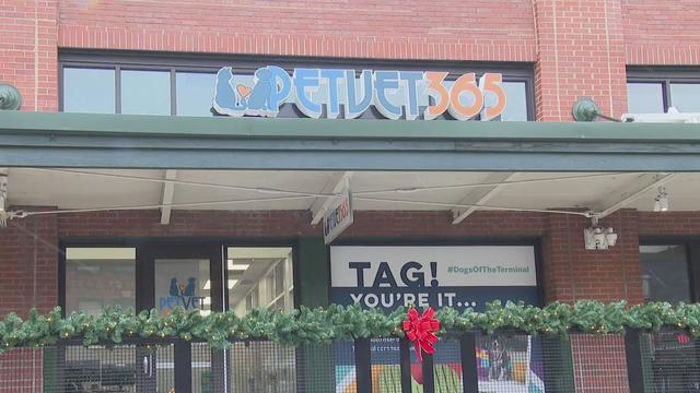 kdka petvet365 pittsburgh 