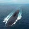 Unique Russian submarine spotted in the South China Sea