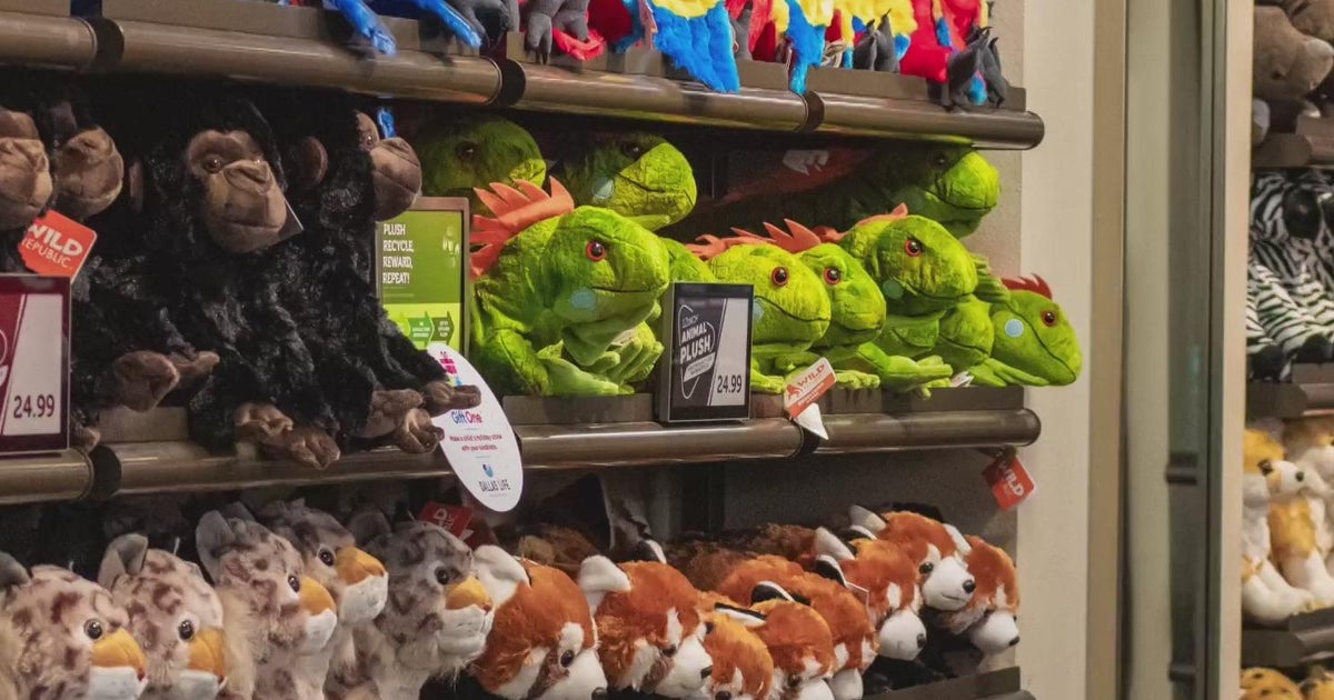 Dallas Zoo launches eco-friendly plush toy recycling program