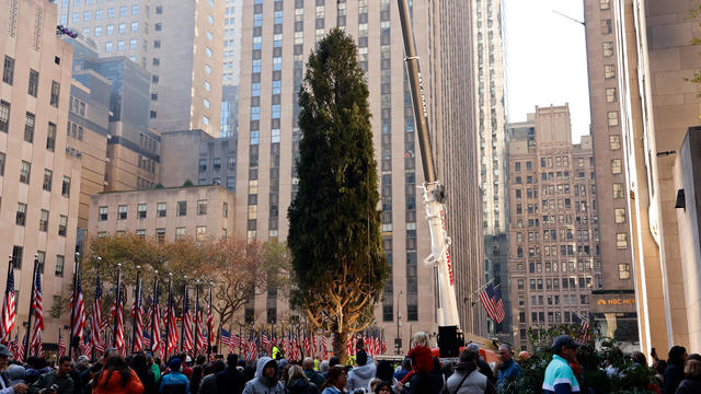 Rockefeller Center Christmas Tree Arrives in New York City 