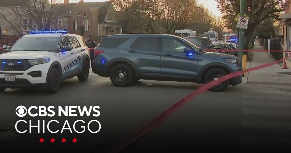 8 shot on Chicago's Southwest Side were attending birthday party ...