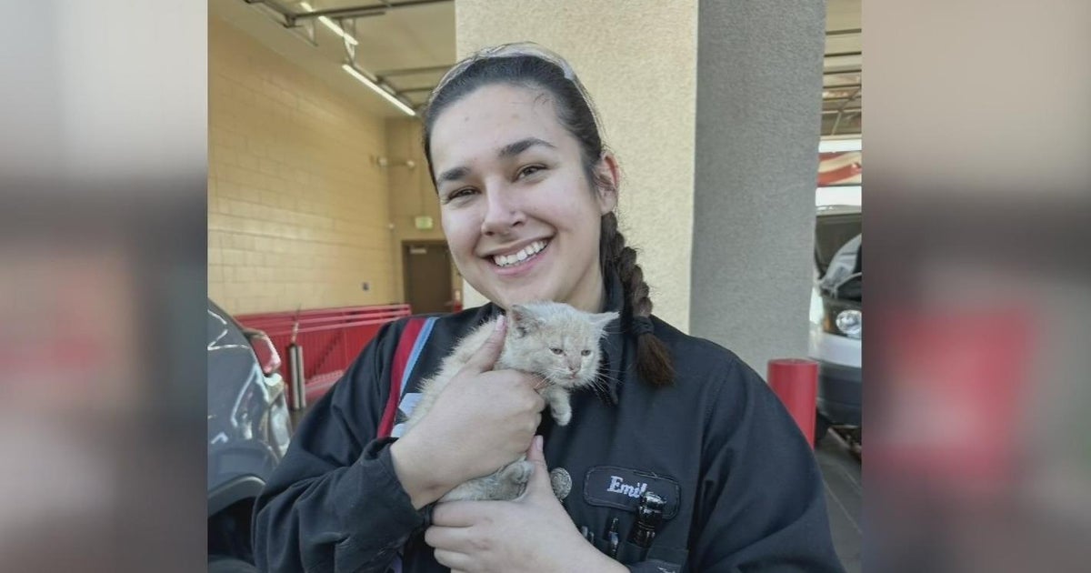 How a cat traveled from Stanislaus County to San Joaquin County
