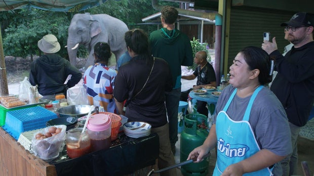 Mango, an elephant, goes through a Thai village