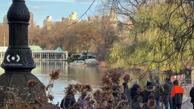 The lake in Central Park 