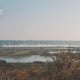 Newsom's controversial California delta tunnel project endorsed by nation's largest irrigation system 