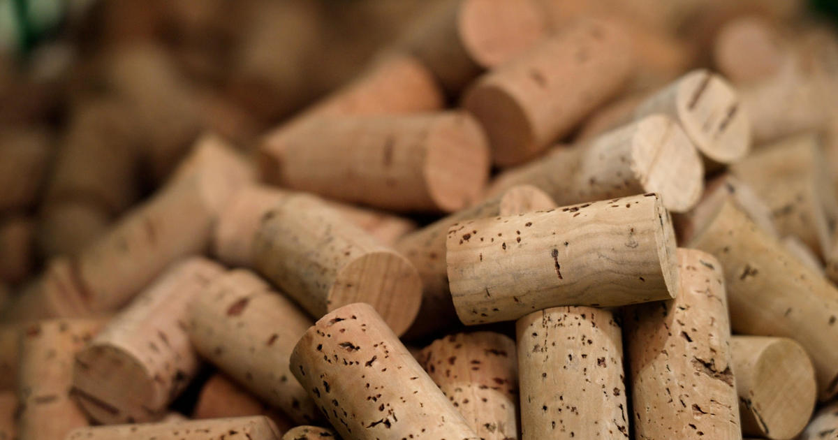 The secrets of cork: So much more than a bottle stopper