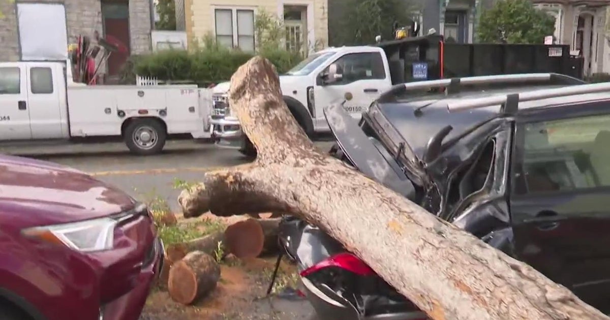 Powerful wind storm cause problems in and around San Francisco - CBS ...