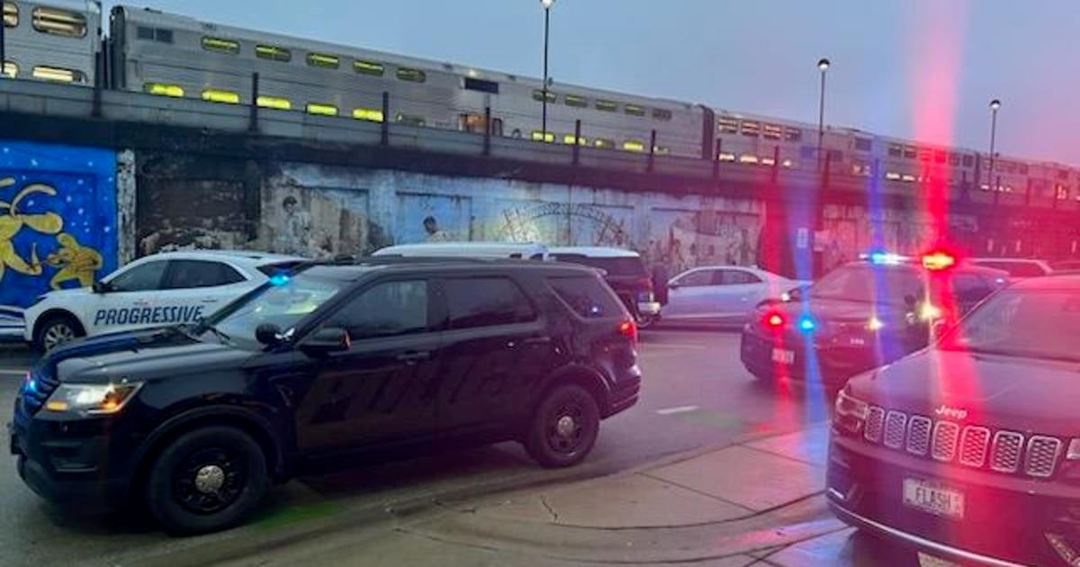 Metra Union Pacific West service was suspended after the train struck a pedestrian near Oak Park