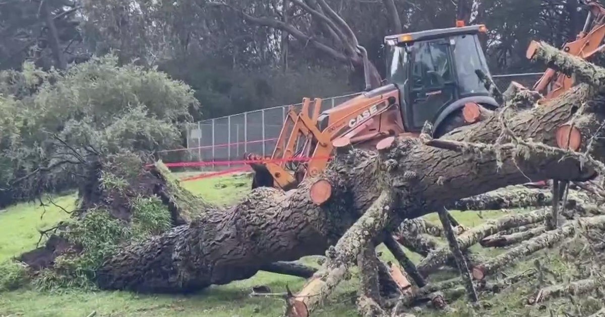Clean up from weekend storm damage continues across the Bay Area - CBS ...