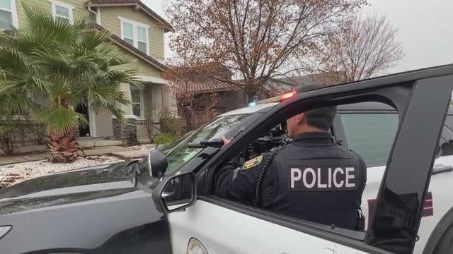 East Bay pot busts 