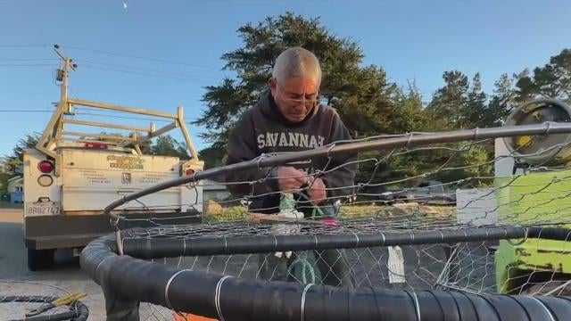 Bay Area crab fisherman 