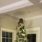 An owl came down a chimney and perched on a Christmas tree: See the video