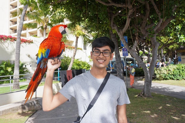Death of OpenAI whistleblower