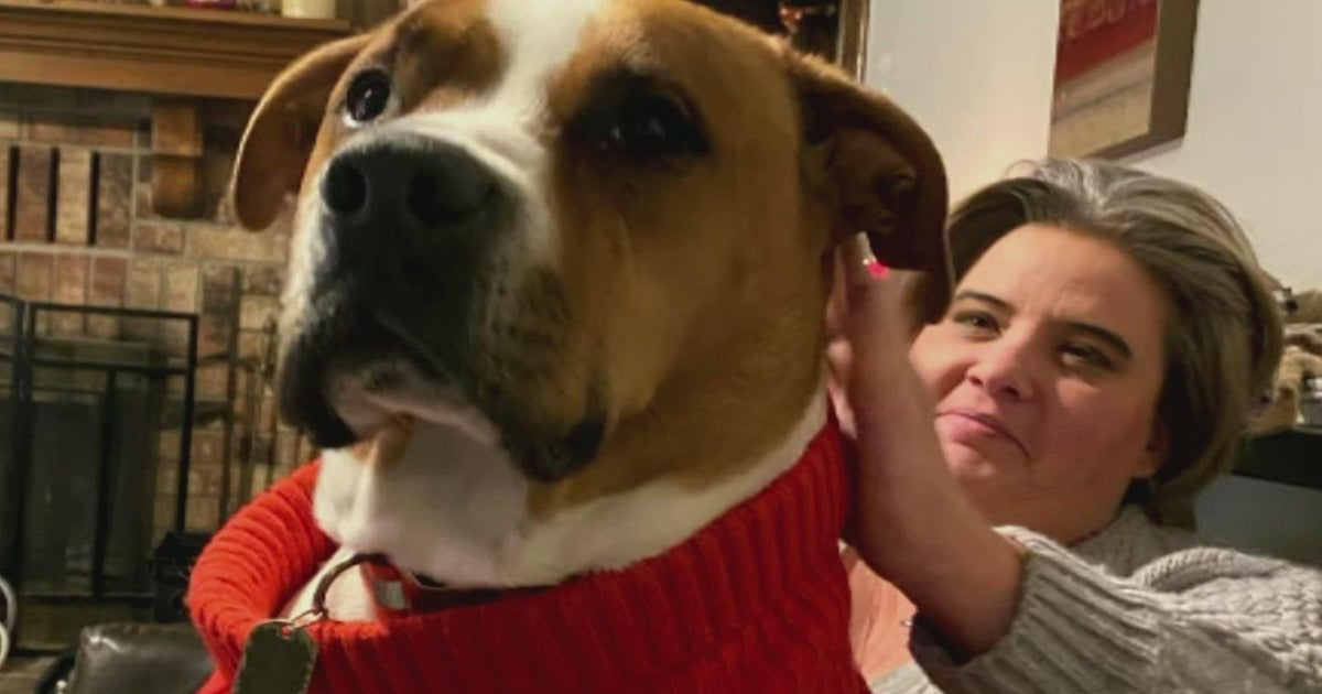 Community rallies around Elizabeth woman who lost home, dog in fire ...