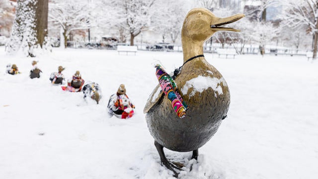 Northeast Sees Snowfall Ahead Of Christmas 