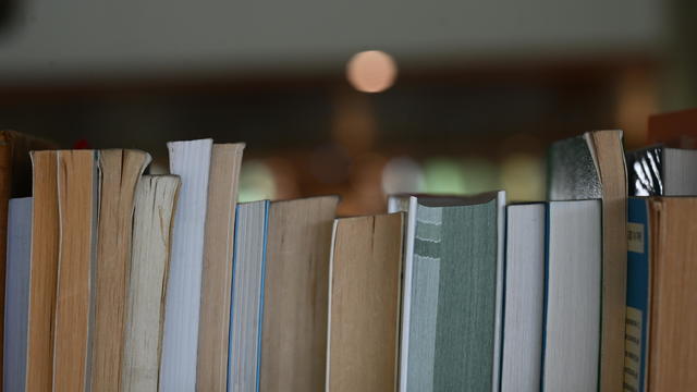 Library Books on a Bookshelf 