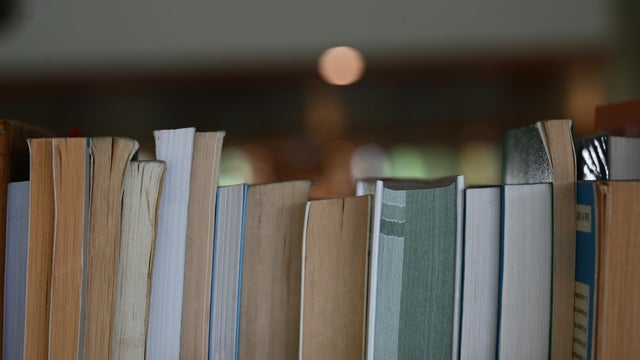 Library Books on a Bookshelf