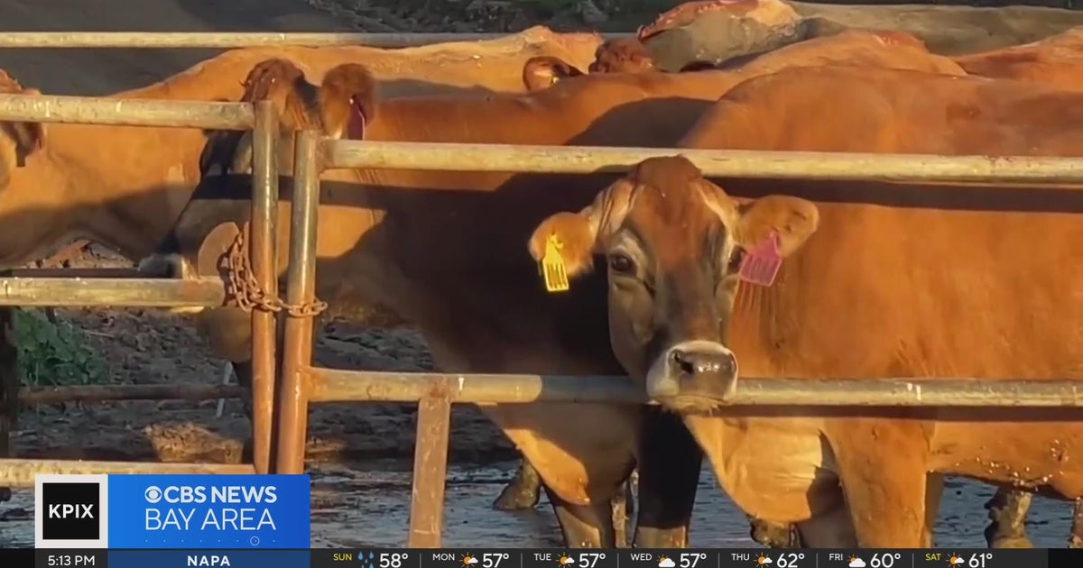 Bay Area counties ramp up outreach efforts after state-wide