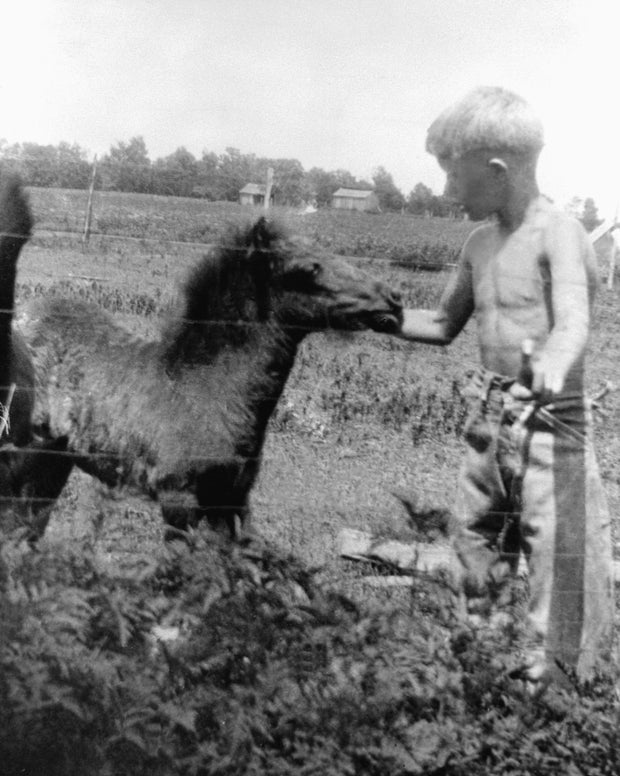 Young Jimmy Carter Petting a Colt