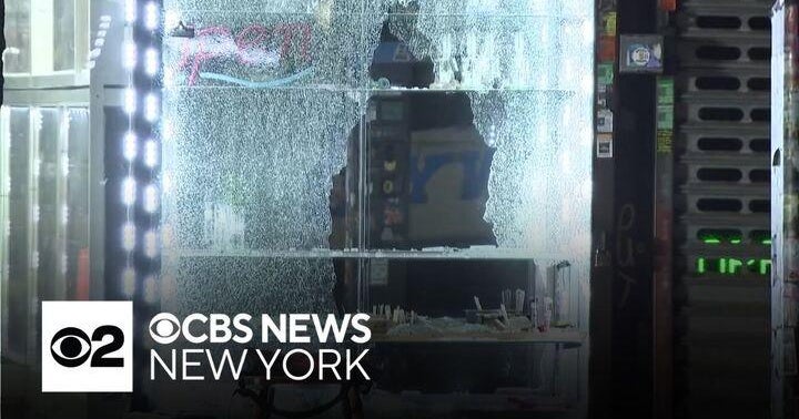 Mother used as human shield during shooting at Bronx grocery store ...